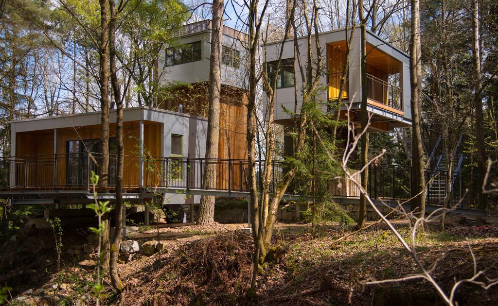 Baumhaus Lodge Schrems Schrems  Buitenkant foto