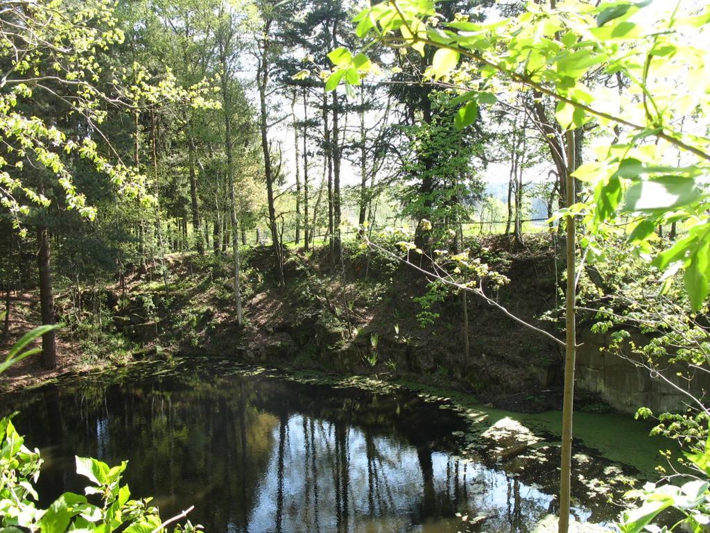 Baumhaus Lodge Schrems Schrems  Buitenkant foto